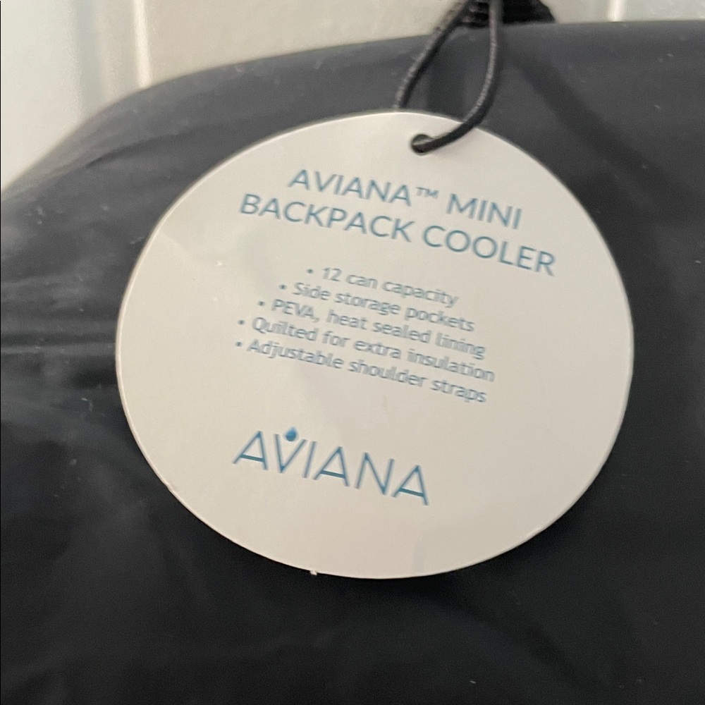 Aviana Sleek Black Backpack